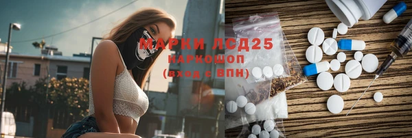 ГАЛЛЮЦИНОГЕННЫЕ ГРИБЫ Баксан