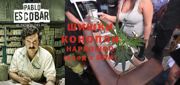 ГАЛЛЮЦИНОГЕННЫЕ ГРИБЫ Баксан