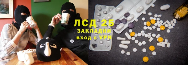 ГАЛЛЮЦИНОГЕННЫЕ ГРИБЫ Баксан