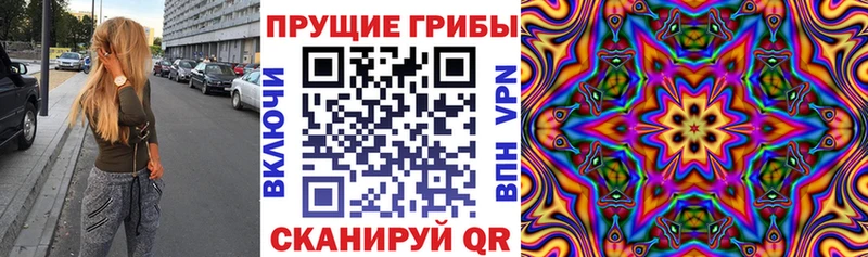 Галлюциногенные грибы GOLDEN TEACHER Киселёвск